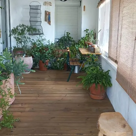 Grande Maison Rustique Sur Les Contreforts Du Larzac Casa vacanze *